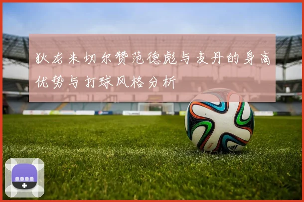 狄龙米切尔赞范德彪与麦丹的身高优势与打球风格分析